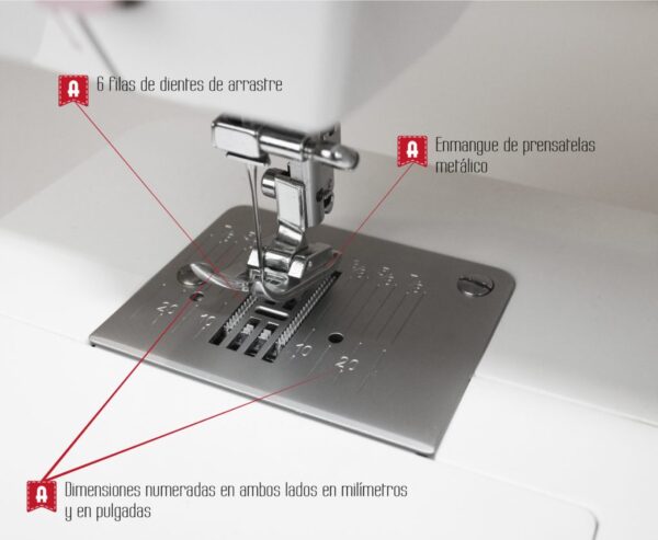 Alfa Style 20 - Imagen 6